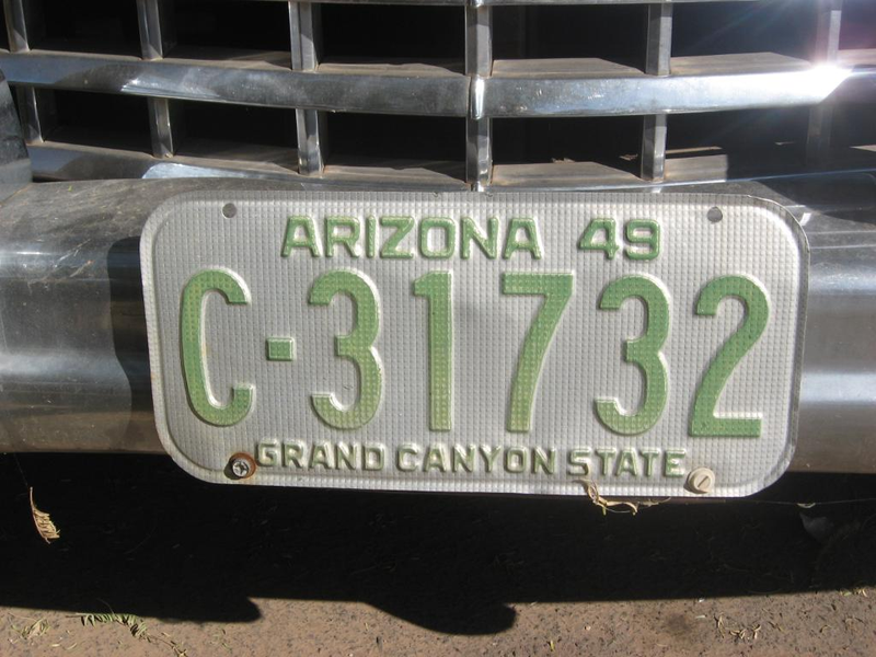Illustration for article titled Ancient Arizona Kaisers Have Never Experienced Rust, Believe Life Is Eternal